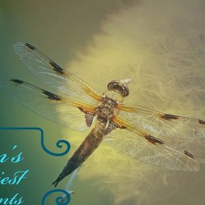 Meet your Posher, Gilbert